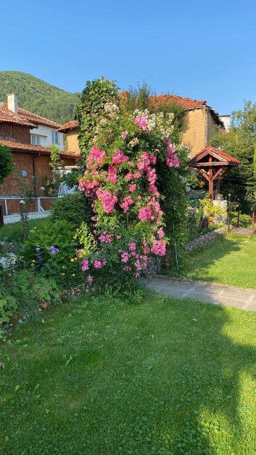 Guest House Simona Sapareva Banya Εξωτερικό φωτογραφία